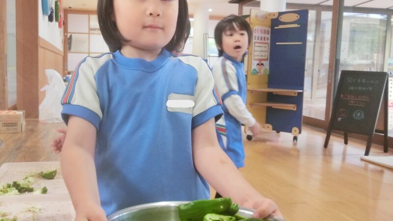 食育　ピーマンの種取り